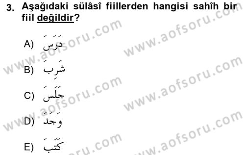 Arapça 1 Dersi 2017 - 2018 Yılı (Final) Dönem Sonu Sınav Soruları 3. Soru