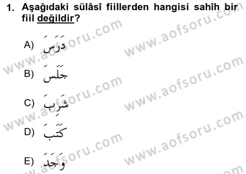 Arapça 1 Dersi 2018 - 2019 Yılı 3 Ders Sınav Soruları 1. Soru