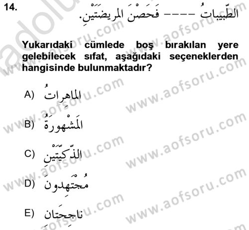 Arapça 1 Dersi 2018 - 2019 Yılı 3 Ders Sınav Soruları 14. Soru