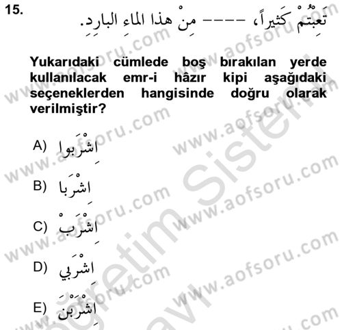 Arapça 1 Dersi 2018 - 2019 Yılı 3 Ders Sınav Soruları 15. Soru