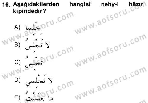 Arapça 1 Dersi 2018 - 2019 Yılı 3 Ders Sınav Soruları 16. Soru