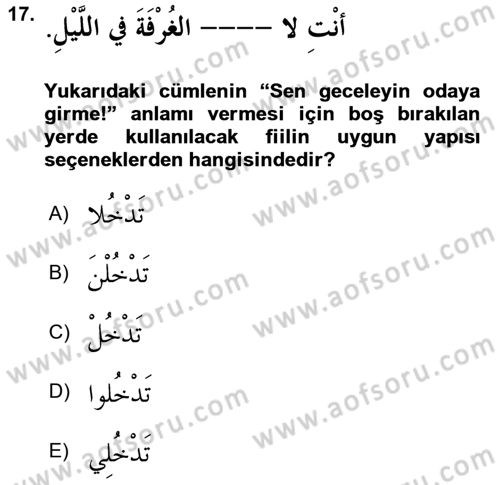 Arapça 1 Dersi 2018 - 2019 Yılı 3 Ders Sınav Soruları 17. Soru