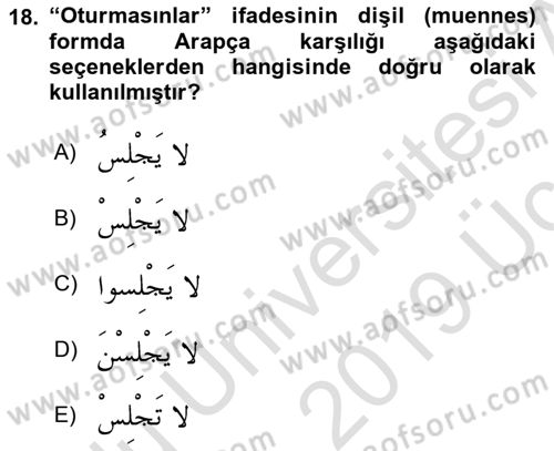 Arapça 1 Dersi 2018 - 2019 Yılı 3 Ders Sınav Soruları 18. Soru