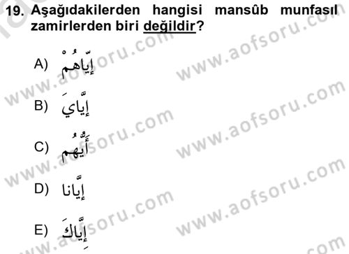 Arapça 1 Dersi 2018 - 2019 Yılı 3 Ders Sınav Soruları 19. Soru