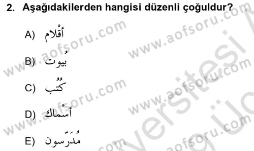 Arapça 1 Dersi 2018 - 2019 Yılı 3 Ders Sınav Soruları 2. Soru