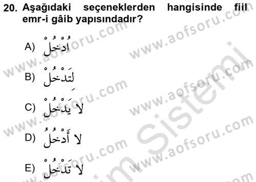 Arapça 1 Dersi 2018 - 2019 Yılı 3 Ders Sınav Soruları 20. Soru