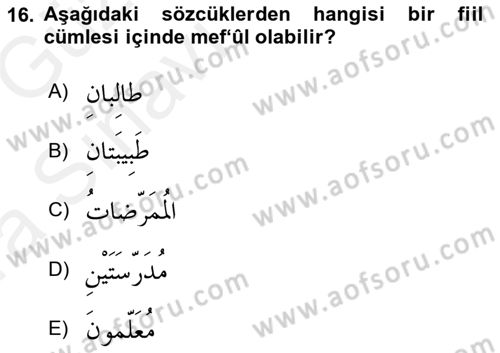 Arapça 1 Dersi 2018 - 2019 Yılı (Vize) Ara Sınav Soruları 16. Soru