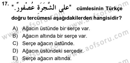 Arapça 1 Dersi Ara Sınavı Deneme Sınav Soruları 17. Soru