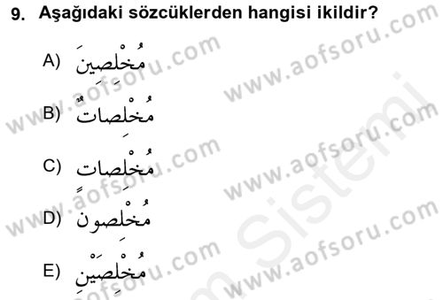 Arapça 1 Dersi 2018 - 2019 Yılı (Vize) Ara Sınav Soruları 9. Soru