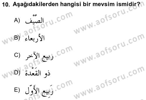Arapça 1 Dersi 2018 - 2019 Yılı (Final) Dönem Sonu Sınav Soruları 10. Soru
