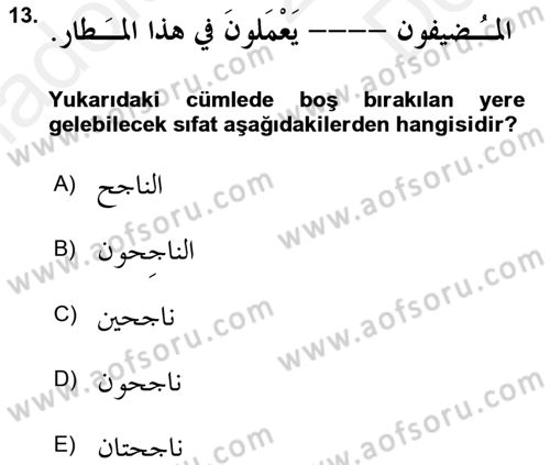 Arapça 1 Dersi 2018 - 2019 Yılı (Final) Dönem Sonu Sınav Soruları 13. Soru