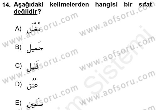 Arapça 1 Dersi 2018 - 2019 Yılı (Final) Dönem Sonu Sınav Soruları 14. Soru