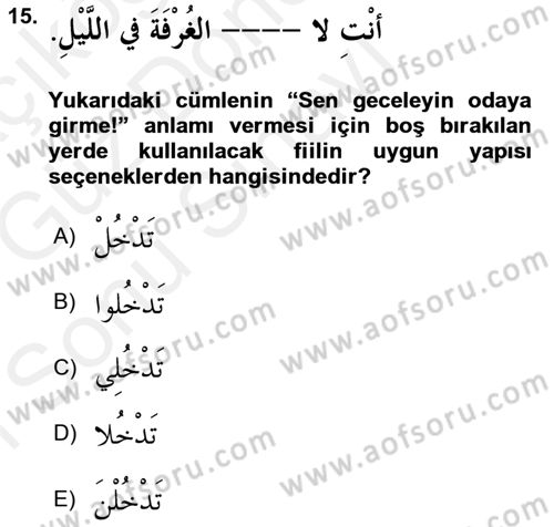 Arapça 1 Dersi 2018 - 2019 Yılı (Final) Dönem Sonu Sınav Soruları 15. Soru