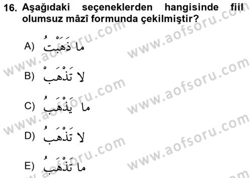 Arapça 1 Dersi 2018 - 2019 Yılı (Final) Dönem Sonu Sınav Soruları 16. Soru