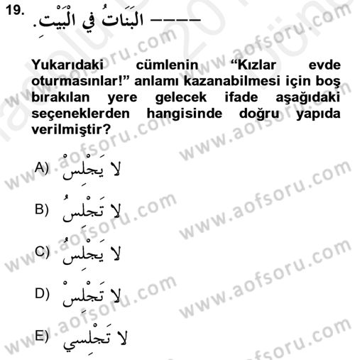Arapça 1 Dersi 2018 - 2019 Yılı (Final) Dönem Sonu Sınav Soruları 19. Soru