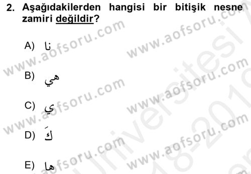 Arapça 1 Dersi 2018 - 2019 Yılı (Final) Dönem Sonu Sınav Soruları 2. Soru