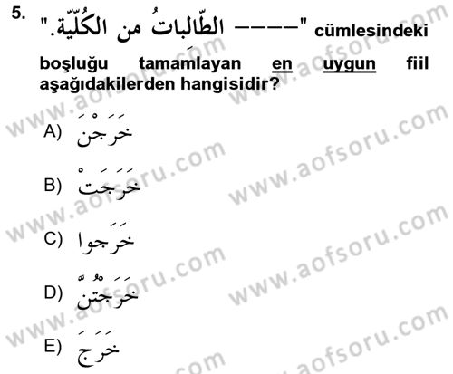Arapça 1 Dersi 2018 - 2019 Yılı (Final) Dönem Sonu Sınav Soruları 5. Soru