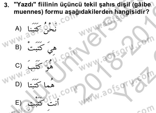 Arapça 1 Dersi 2018 - 2019 Yılı Yaz Okulu Sınavı 3. Soru