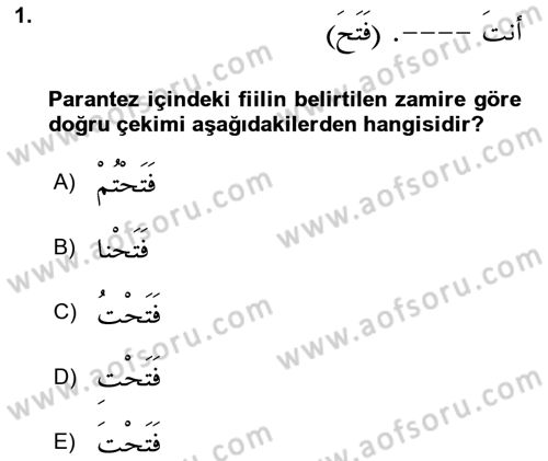 Arapça 1 Dersi Ara Sınavı Deneme Sınav Soruları 1. Soru