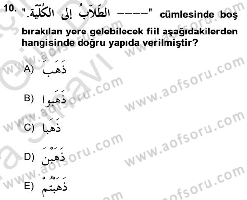 Arapça 1 Dersi Ara Sınavı Deneme Sınav Soruları 10. Soru