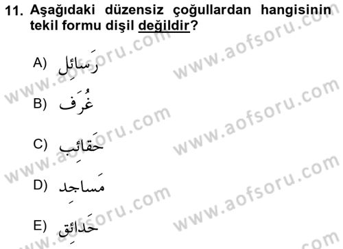 Arapça 1 Dersi 2019 - 2020 Yılı (Vize) Ara Sınav Soruları 11. Soru