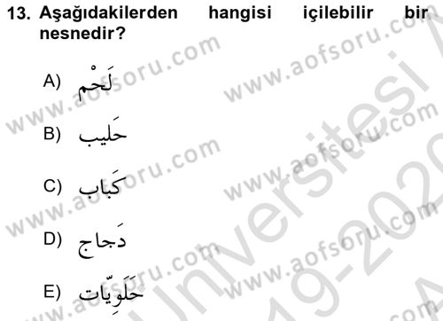 Arapça 1 Dersi Ara Sınavı Deneme Sınav Soruları 13. Soru