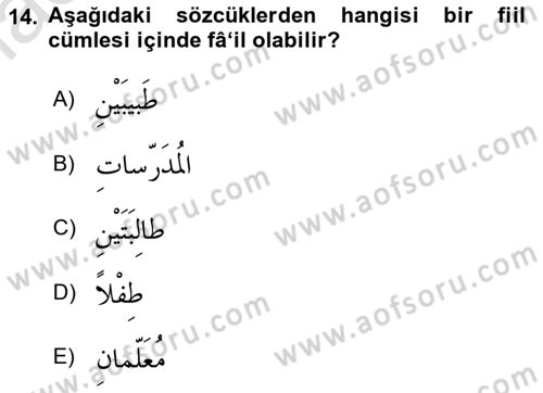 Arapça 1 Dersi 2019 - 2020 Yılı (Vize) Ara Sınavı 14. Soru