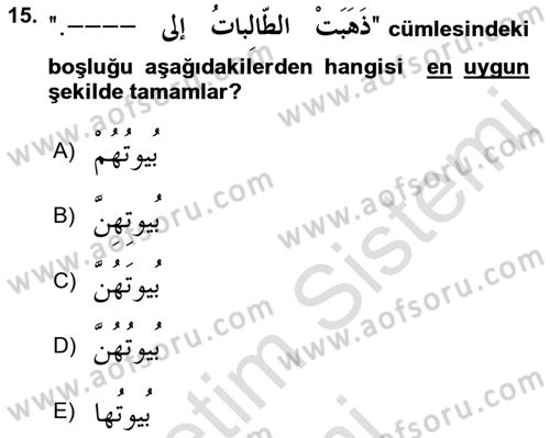 Arapça 1 Dersi Ara Sınavı Deneme Sınav Soruları 15. Soru