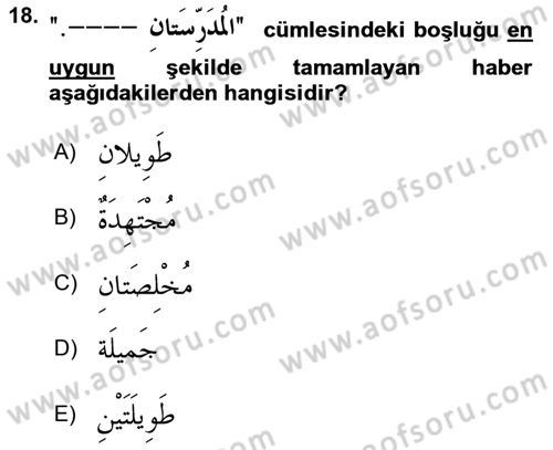 Arapça 1 Dersi 2019 - 2020 Yılı (Vize) Ara Sınav Soruları 18. Soru