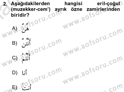 Arapça 1 Dersi 2019 - 2020 Yılı (Vize) Ara Sınav Soruları 2. Soru
