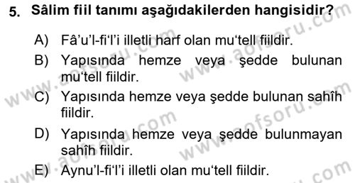 Arapça 1 Dersi 2019 - 2020 Yılı (Vize) Ara Sınav Soruları 5. Soru