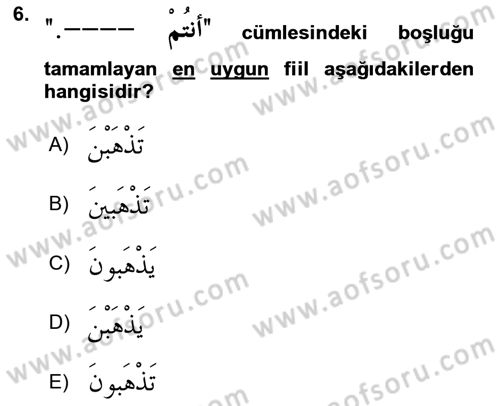 Arapça 1 Dersi Ara Sınavı Deneme Sınav Soruları 6. Soru