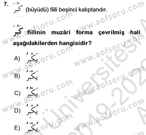 Arapça 1 Dersi 2019 - 2020 Yılı (Vize) Ara Sınav Soruları 7. Soru