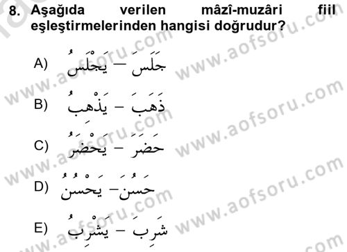Arapça 1 Dersi 2019 - 2020 Yılı (Vize) Ara Sınav Soruları 8. Soru