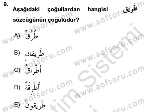 Arapça 1 Dersi 2019 - 2020 Yılı (Vize) Ara Sınav Soruları 9. Soru