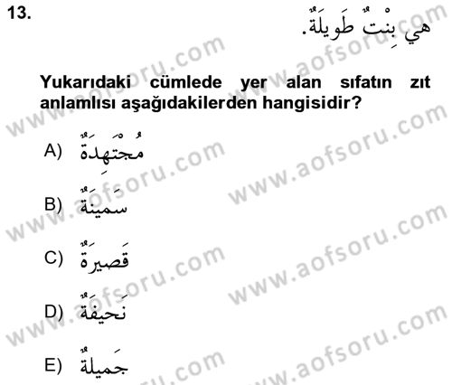 Arapça 1 Dersi 2019 - 2020 Yılı (Final) Dönem Sonu Sınav Soruları 13. Soru