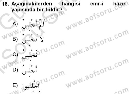 Arapça 1 Dersi 2019 - 2020 Yılı (Final) Dönem Sonu Sınav Soruları 16. Soru