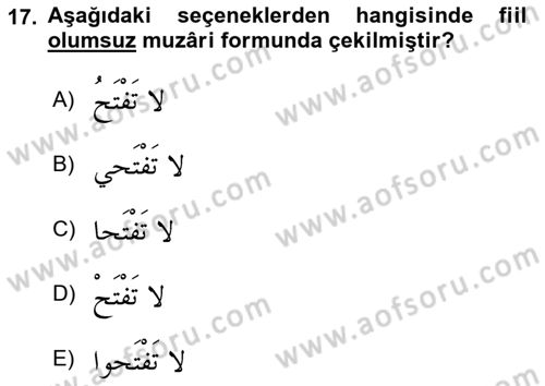 Arapça 1 Dersi 2019 - 2020 Yılı (Final) Dönem Sonu Sınav Soruları 17. Soru