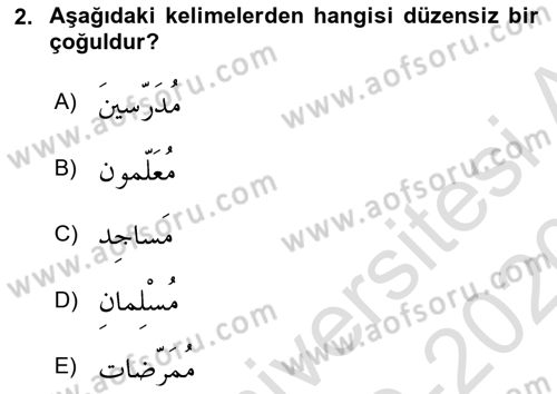 Arapça 1 Dersi 2019 - 2020 Yılı (Final) Dönem Sonu Sınav Soruları 2. Soru