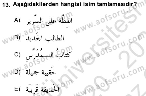 Arapça 1 Dersi 2020 - 2021 Yılı Yaz Okulu Sınav Soruları 13. Soru