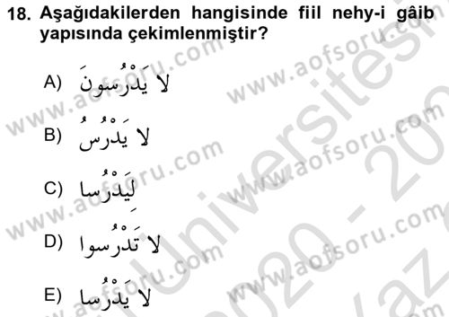 Arapça 1 Dersi 2020 - 2021 Yılı Yaz Okulu Sınav Soruları 18. Soru