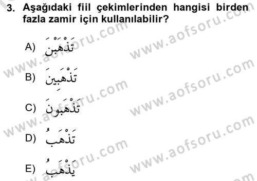 Arapça 1 Dersi 2020 - 2021 Yılı Yaz Okulu Sınav Soruları 3. Soru