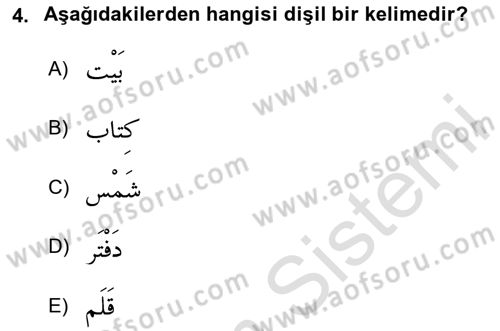 Arapça 1 Dersi 2020 - 2021 Yılı Yaz Okulu Sınav Soruları 4. Soru