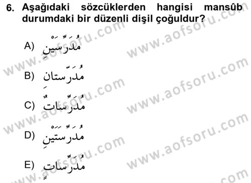 Arapça 1 Dersi 2020 - 2021 Yılı Yaz Okulu Sınav Soruları 6. Soru