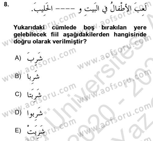 Arapça 1 Dersi 2020 - 2021 Yılı Yaz Okulu Sınav Soruları 8. Soru