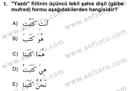 Arapça 1 Dersi Ara Sınavı Deneme Sınav Soruları 1. Soru