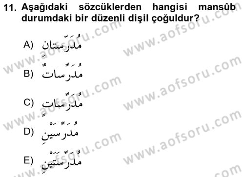 Arapça 1 Dersi Ara Sınavı Deneme Sınav Soruları 11. Soru