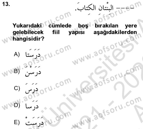 Arapça 1 Dersi Ara Sınavı Deneme Sınav Soruları 13. Soru