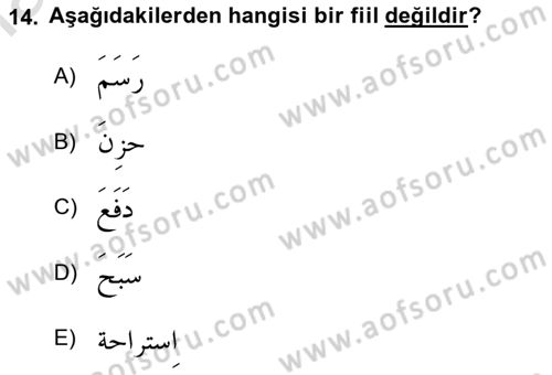 Arapça 1 Dersi 2021 - 2022 Yılı (Vize) Ara Sınavı 14. Soru