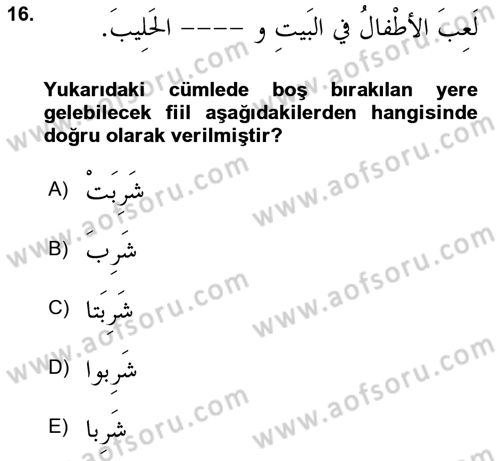 Arapça 1 Dersi Ara Sınavı Deneme Sınav Soruları 16. Soru